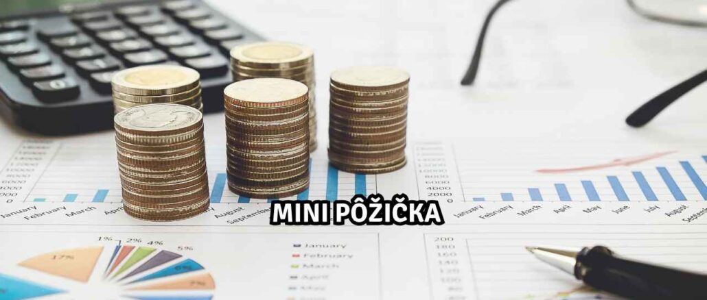 Mini Pôžička