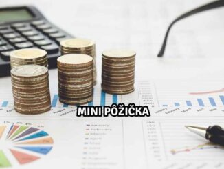 Mini Pôžička