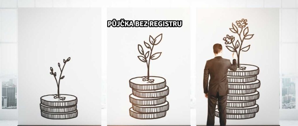 Půjčka Bez Registru