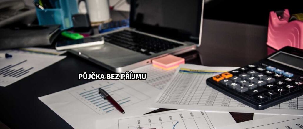 Půjčka bez příjmu