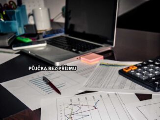 Půjčka bez příjmu